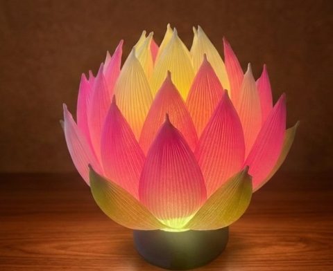 （7月）紙でつくる蓮の花ランプ